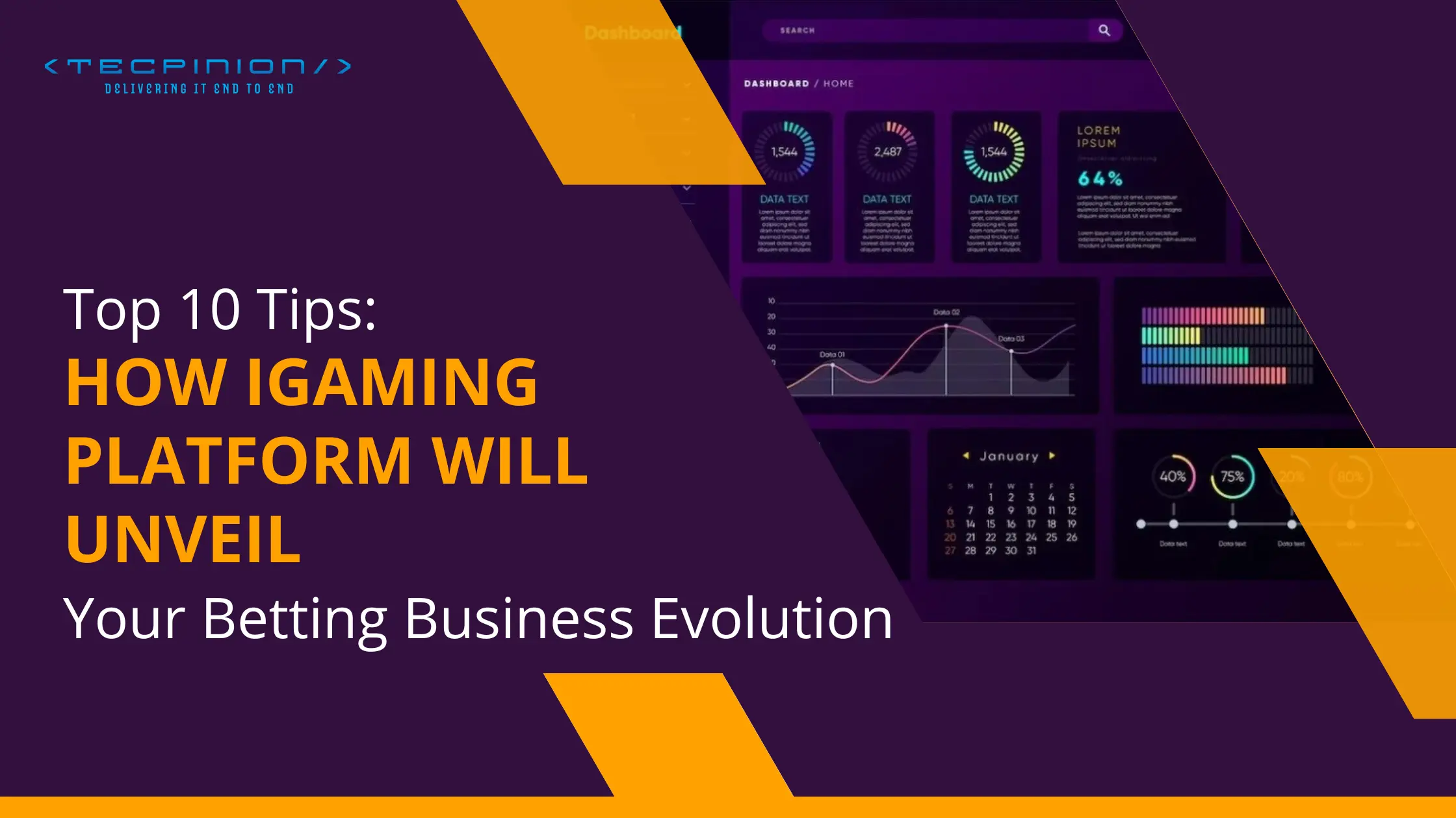 Top 10 Tips: How iGaming Platform Will Unveil Your Betting Business Evolution