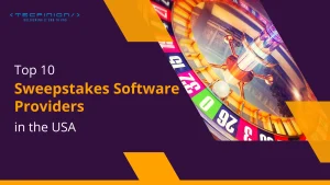 Sweepstakes Software Providers